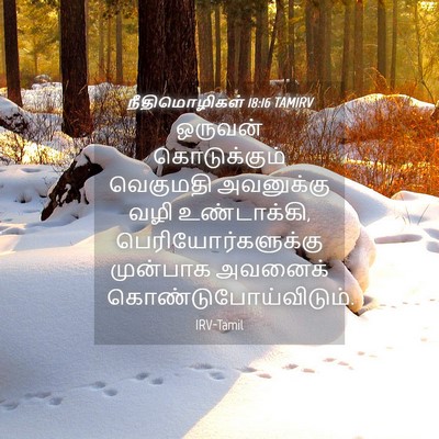 Picture 04 - நீதிமொழிகள் 18:16 TAMIRV - ஒருவன் கொடுக்கும் - Bible Verse Picture