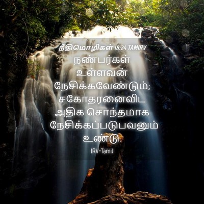 Picture 04 - நீதிமொழிகள் 18:24 TAMIRV - நண்பர்கள் உள்ளவன் - Bible Verse Picture
