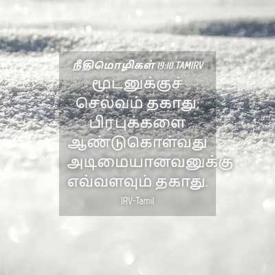 Picture 04 - நீதிமொழிகள் 19:10 TAMIRV - மூடனுக்குச் - Bible Verse Picture