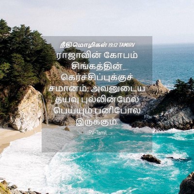 Picture 04 - நீதிமொழிகள் 19:12 TAMIRV - ராஜாவின் கோபம் - Bible Verse Picture