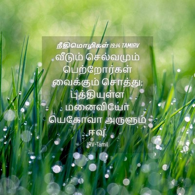 Picture 04 - நீதிமொழிகள் 19:14 TAMIRV - வீடும் செல்வமும் - Bible Verse Picture