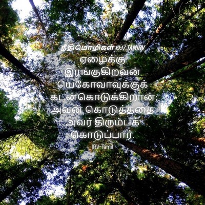 Picture 04 - நீதிமொழிகள் 19:17 TAMIRV - ஏழைக்கு - Bible Verse Picture