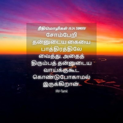 Picture 04 - நீதிமொழிகள் 19:24 TAMIRV - சோம்பேறி தன்னுடைய - Bible Verse Picture