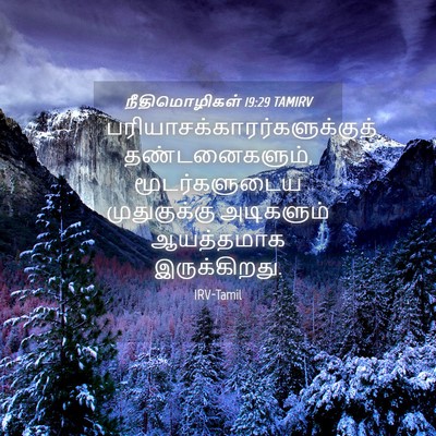 Picture 04 - நீதிமொழிகள் 19:29 TAMIRV -  - Bible Verse Picture