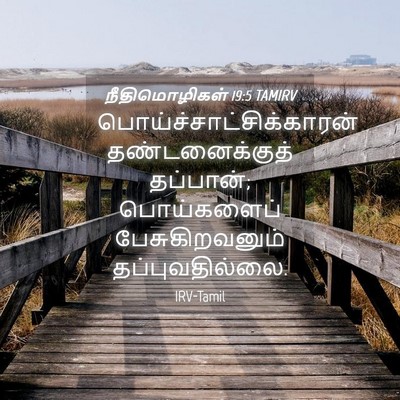 Picture 04 - நீதிமொழிகள் 19:5 TAMIRV -  - Bible Verse Picture