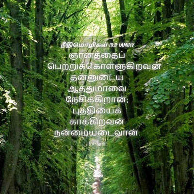 Picture 04 - நீதிமொழிகள் 19:8 TAMIRV - ஞானத்தைப் - Bible Verse Picture