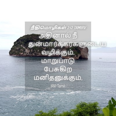 Picture 04 - நீதிமொழிகள் 2:12 TAMIRV - அதினால் நீ - Bible Verse Picture