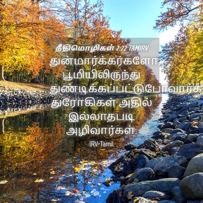 Picture 04 - நீதிமொழிகள் 2:22 TAMIRV - துன்மார்க்கர்களோ - Bible Verse Picture