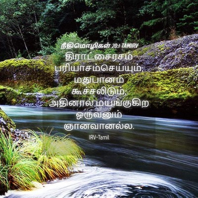 Picture 04 - நீதிமொழிகள் 20:1 TAMIRV - திராட்சைரசம் - Bible Verse Picture