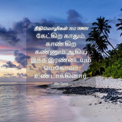 Picture 04 - நீதிமொழிகள் 20:12 TAMIRV - கேட்கிற காதும், - Bible Verse Picture