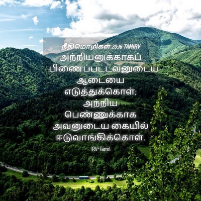 Picture 04 - நீதிமொழிகள் 20:16 TAMIRV - அந்நியனுக்காகப் - Bible Verse Picture