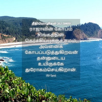 Picture 04 - நீதிமொழிகள் 20:2 TAMIRV - ராஜாவின் கோபம் - Bible Verse Picture