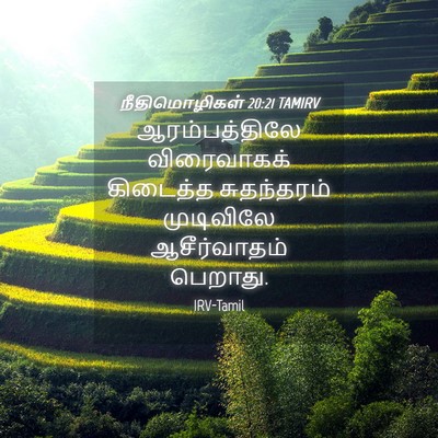 Picture 04 - நீதிமொழிகள் 20:21 TAMIRV - ஆரம்பத்திலே - Bible Verse Picture