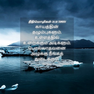 Picture 04 - நீதிமொழிகள் 20:30 TAMIRV - காயத்தின் - Bible Verse Picture