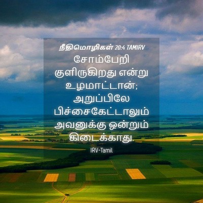 Picture 04 - நீதிமொழிகள் 20:4 TAMIRV - சோம்பேறி - Bible Verse Picture