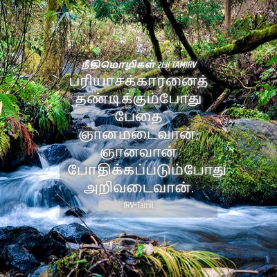 Picture 04 - நீதிமொழிகள் 21:11 TAMIRV - பரியாசக்காரனைத் - Bible Verse Picture