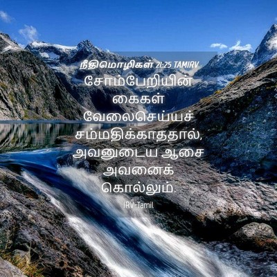 Picture 04 - நீதிமொழிகள் 21:25 TAMIRV - சோம்பேறியின் - Bible Verse Picture