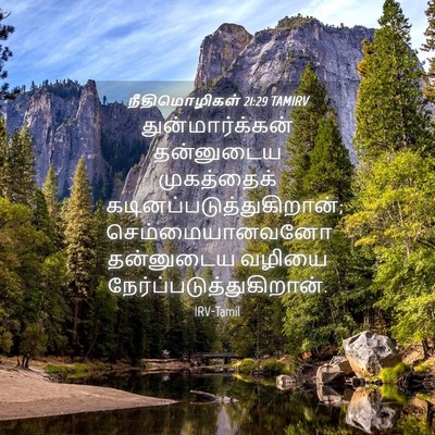 Picture 04 - நீதிமொழிகள் 21:29 TAMIRV - துன்மார்க்கன் - Bible Verse Picture