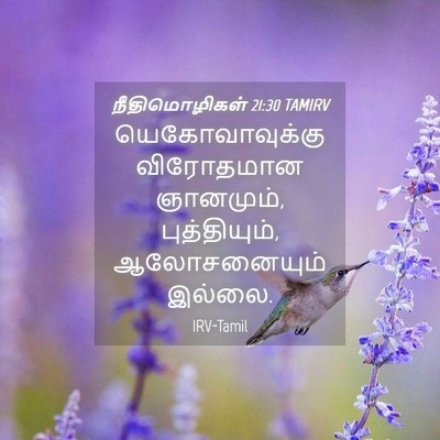 Picture 04 - நீதிமொழிகள் 21:30 TAMIRV - யெகோவாவுக்கு - Bible Verse Picture