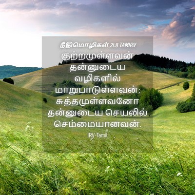 Picture 04 - நீதிமொழிகள் 21:8 TAMIRV - குற்றமுள்ளவன் - Bible Verse Picture