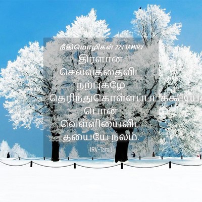 Picture 04 - நீதிமொழிகள் 22:1 TAMIRV - திரளான - Bible Verse Picture