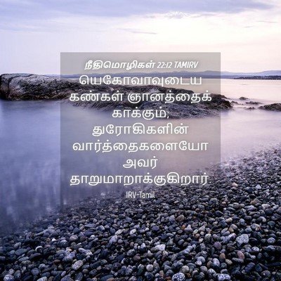 Picture 04 - நீதிமொழிகள் 22:12 TAMIRV - யெகோவாவுடைய - Bible Verse Picture