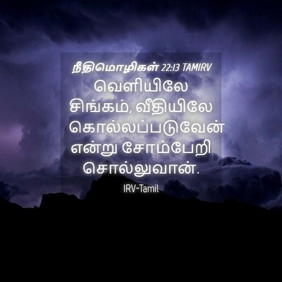 Picture 04 - நீதிமொழிகள் 22:13 TAMIRV - வெளியிலே சிங்கம், - Bible Verse Picture