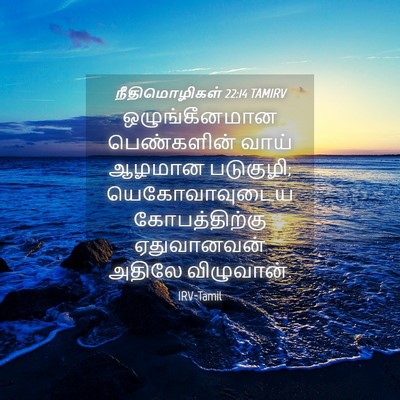 Picture 04 - நீதிமொழிகள் 22:14 TAMIRV - ஒழுங்கீனமான - Bible Verse Picture