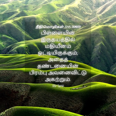 Picture 04 - நீதிமொழிகள் 22:15 TAMIRV - பிள்ளையின் - Bible Verse Picture
