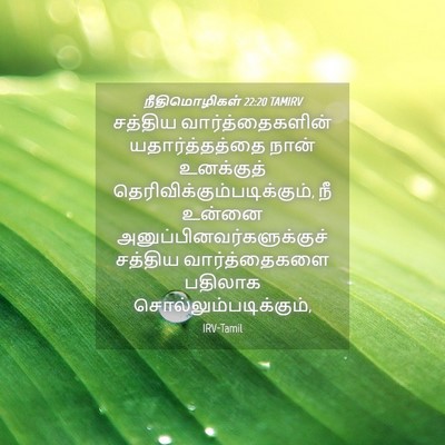 Picture 04 - நீதிமொழிகள் 22:20 TAMIRV - சத்திய - Bible Verse Picture