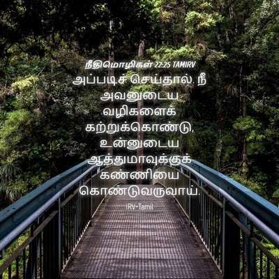 Picture 04 - நீதிமொழிகள் 22:25 TAMIRV - அப்படிச் - Bible Verse Picture
