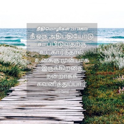 Picture 04 - நீதிமொழிகள் 23:1 TAMIRV - நீ ஒரு அதிபதியோடு - Bible Verse Picture