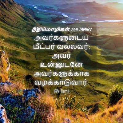 Picture 04 - நீதிமொழிகள் 23:11 TAMIRV - அவர்களுடைய - Bible Verse Picture