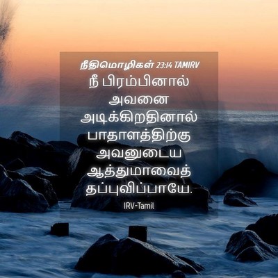 Picture 04 - நீதிமொழிகள் 23:14 TAMIRV - நீ பிரம்பினால் - Bible Verse Picture