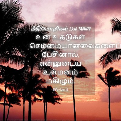 Picture 04 - நீதிமொழிகள் 23:16 TAMIRV - உன் உதடுகள் - Bible Verse Picture