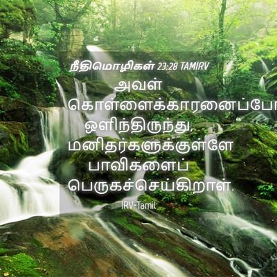 Picture 04 - நீதிமொழிகள் 23:28 TAMIRV - அவள் - Bible Verse Picture