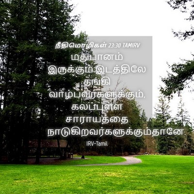 Picture 04 - நீதிமொழிகள் 23:30 TAMIRV - மதுபானம் - Bible Verse Picture