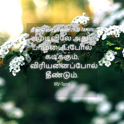 Picture 04 - நீதிமொழிகள் 23:32 TAMIRV - முடிவிலே அது - Bible Verse Picture