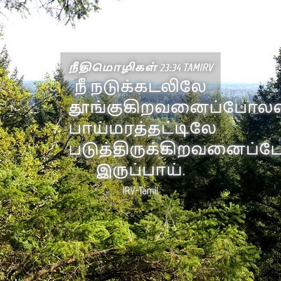Picture 04 - நீதிமொழிகள் 23:34 TAMIRV - நீ நடுக்கடலிலே - Bible Verse Picture