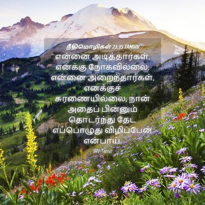 Picture 04 - நீதிமொழிகள் 23:35 TAMIRV - என்னை - Bible Verse Picture