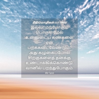 Picture 04 - நீதிமொழிகள் 23:5 TAMIRV - இல்லாமற்போகும் - Bible Verse Picture