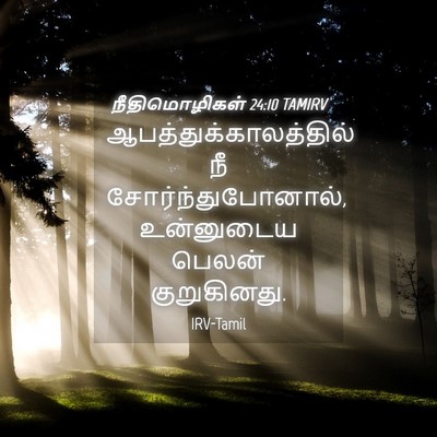 Picture 04 - நீதிமொழிகள் 24:10 TAMIRV -  - Bible Verse Picture