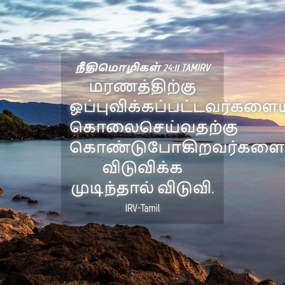Picture 04 - நீதிமொழிகள் 24:11 TAMIRV - மரணத்திற்கு - Bible Verse Picture