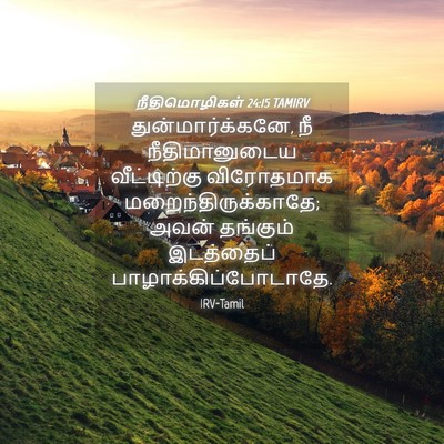 Picture 04 - நீதிமொழிகள் 24:15 TAMIRV - துன்மார்க்கனே, நீ - Bible Verse Picture