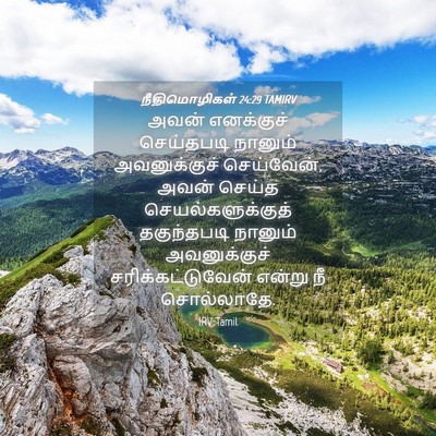 Picture 04 - நீதிமொழிகள் 24:29 TAMIRV - அவன் எனக்குச் - Bible Verse Picture