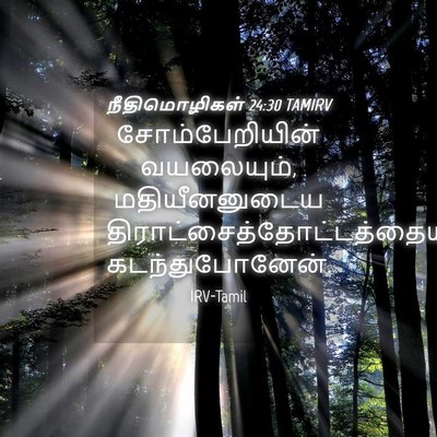 Picture 04 - நீதிமொழிகள் 24:30 TAMIRV - சோம்பேறியின் - Bible Verse Picture