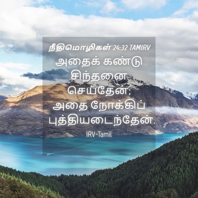 Picture 04 - நீதிமொழிகள் 24:32 TAMIRV - அதைக் கண்டு - Bible Verse Picture