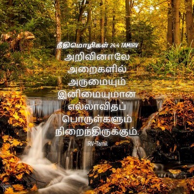 Picture 04 - நீதிமொழிகள் 24:4 TAMIRV - அறிவினாலே - Bible Verse Picture