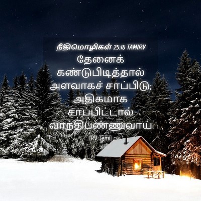 Picture 04 - நீதிமொழிகள் 25:16 TAMIRV - தேனைக் - Bible Verse Picture
