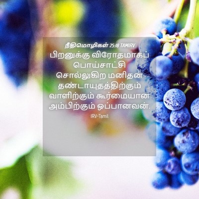Picture 04 - நீதிமொழிகள் 25:18 TAMIRV - பிறனுக்கு - Bible Verse Picture